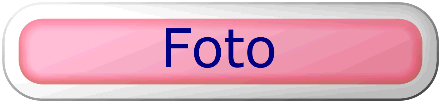 Galleria fotografica